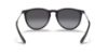 Picture of Ray Ban Sunglasses RB4171F Erika (F)