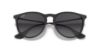 Picture of Ray Ban Sunglasses RB4171F Erika (F)
