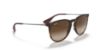 Picture of Ray Ban Sunglasses RB4171F Erika (F)
