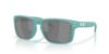 Picture of Oakley Sunglasses OO9102