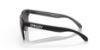 Picture of Oakley Sunglasses FROGSKINS LITE