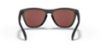 Picture of Oakley Sunglasses FROGSKINS (A)
