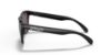 Picture of Oakley Sunglasses FROGSKINS (A)