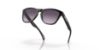 Picture of Oakley Sunglasses FROGSKINS (A)