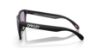 Picture of Oakley Sunglasses FROGSKINS (A)