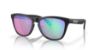 Picture of Oakley Sunglasses FROGSKINS (A)
