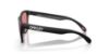 Picture of Oakley Sunglasses FROGSKINS (A)