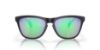 Picture of Oakley Sunglasses FROGSKINS (A)