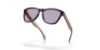 Picture of Oakley Sunglasses FROGSKINS (A)