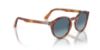Picture of Persol Sunglasses PO3171S