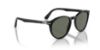 Picture of Persol Sunglasses PO3152S