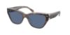 Picture of Coach Sunglasses HC8370F