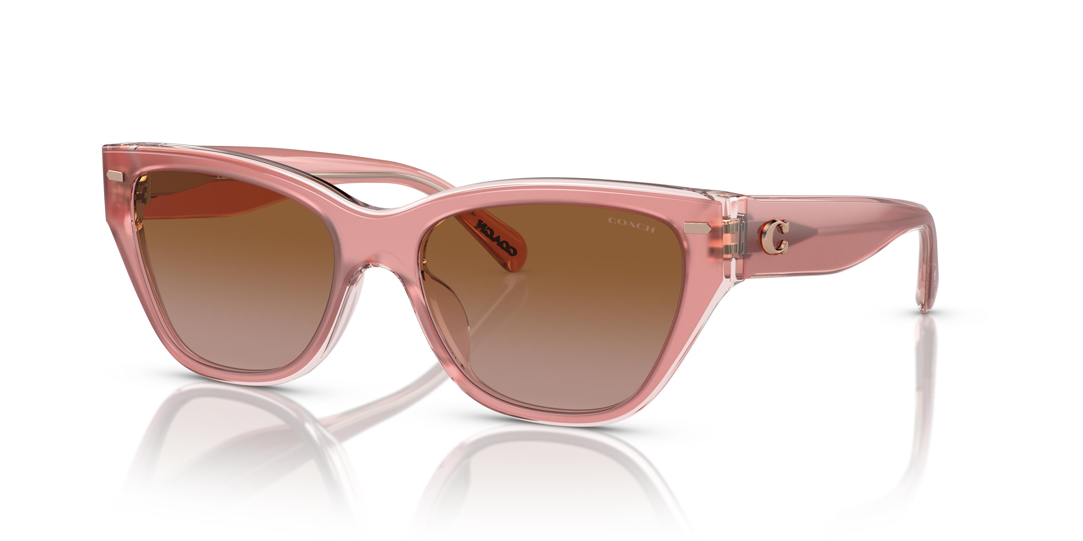 Picture of Coach Sunglasses HC8370F