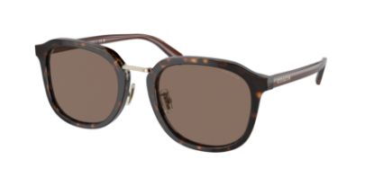 Picture of Coach Sunglasses HC8366