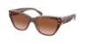 Picture of Coach Sunglasses HC8370U