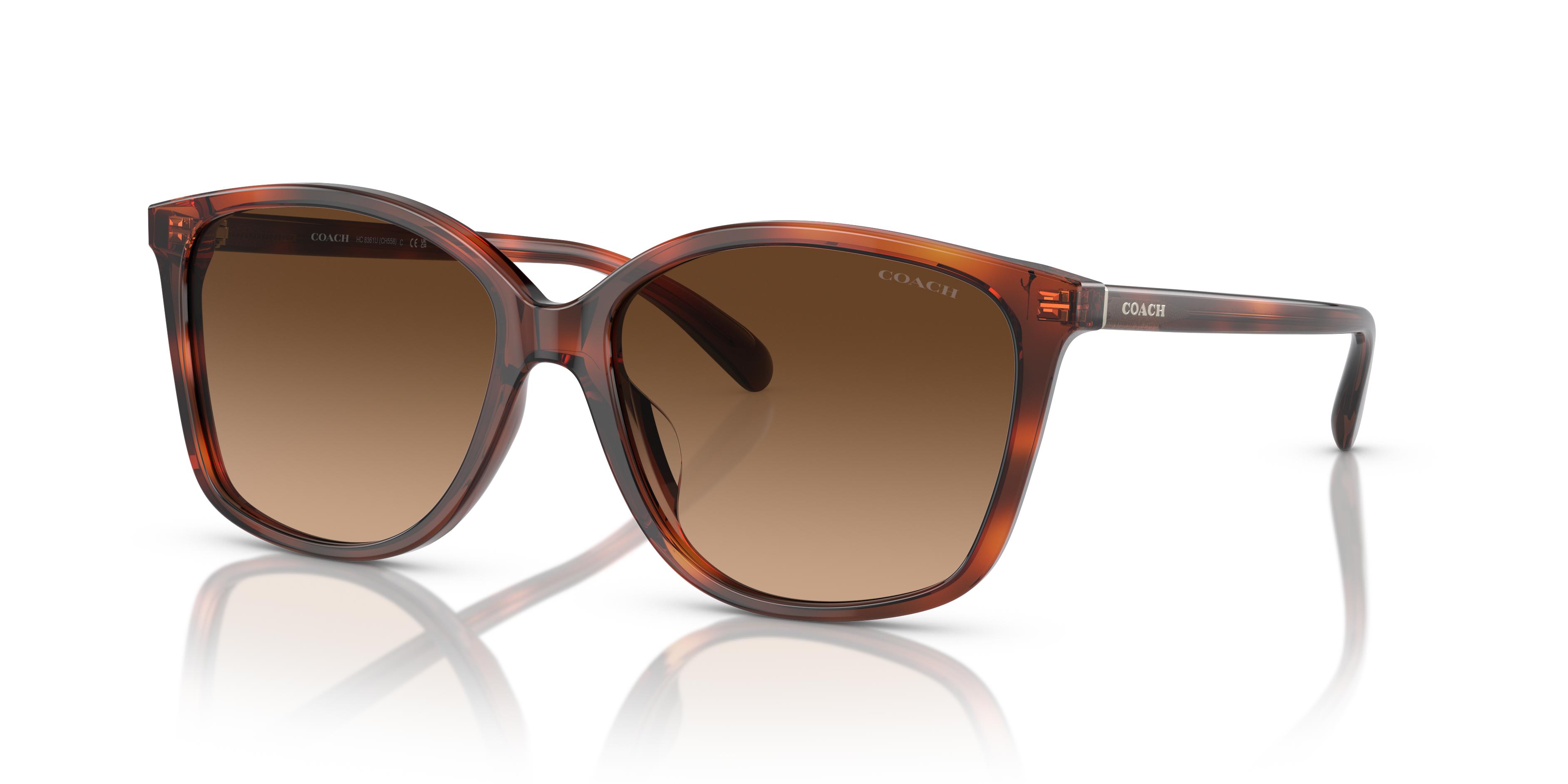 Picture of Coach Sunglasses HC8361U