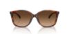 Picture of Coach Sunglasses HC8361U
