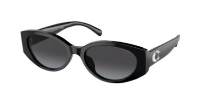 Picture of Coach Sunglasses HC8353U