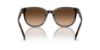 Picture of Coach Sunglasses HC8350U