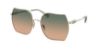 Picture of Coach Sunglasses HC7142