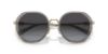 Picture of Coach Sunglasses HC7141