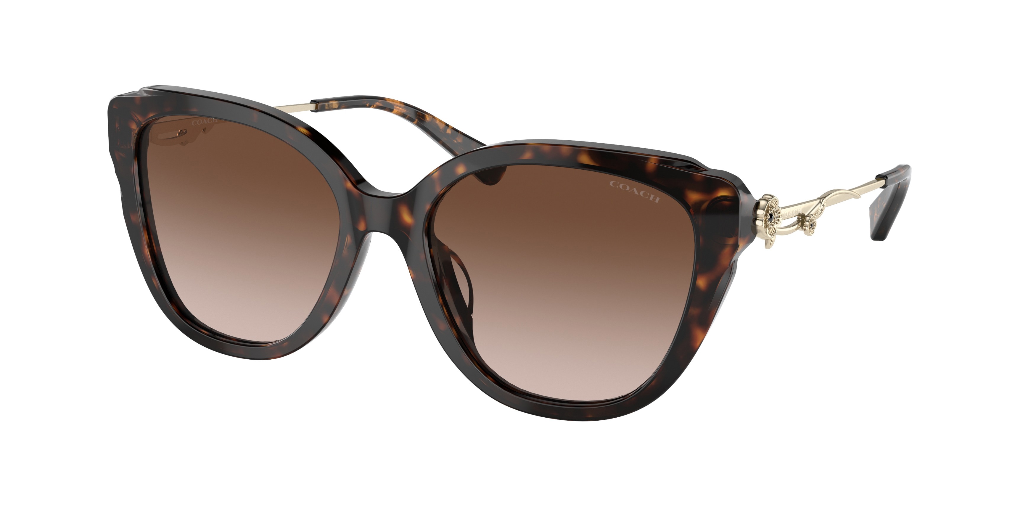 Picture of Coach Sunglasses HC8347BU