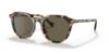 Picture of Coach Sunglasses HC8339U