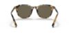 Picture of Coach Sunglasses HC8339U