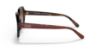 Picture of Coach Sunglasses HC8335U