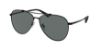 Picture of Coach Sunglasses HC7136