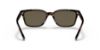 Picture of Coach Sunglasses HC8328U