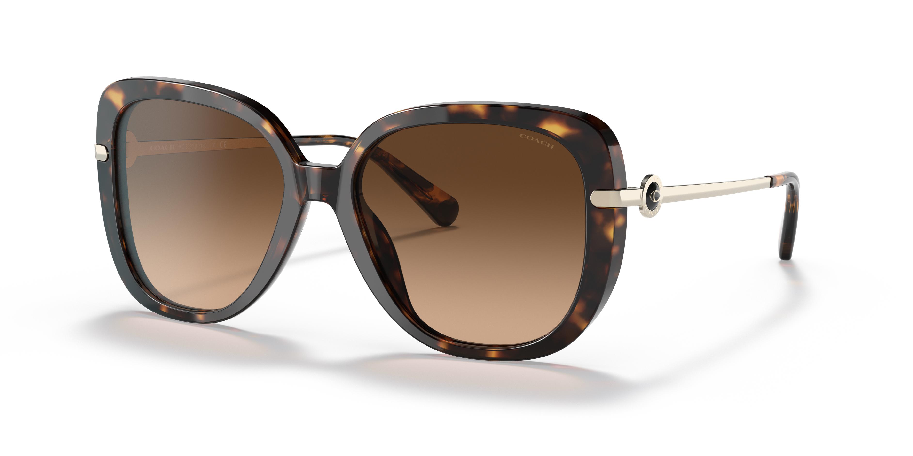 Picture of Coach Sunglasses HC8320