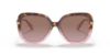 Picture of Coach Sunglasses HC8320