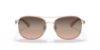 Picture of Coach Sunglasses HC7127