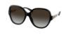 Picture of Coach Sunglasses HC8303B