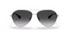 Picture of Coach Sunglasses HC7124