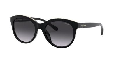 Picture of Coach Sunglasses HC8297U