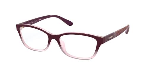 Picture of Coach Eyeglasses HC6159U