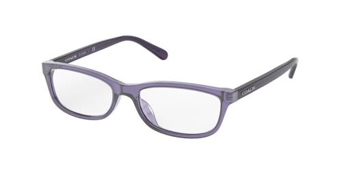 Picture of Coach Eyeglasses HC6158U