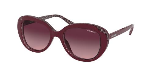 Picture of Coach Sunglasses HC8289F