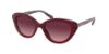 Picture of Coach Sunglasses HC8288