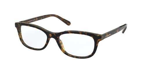 Picture of Coach Eyeglasses HC6150