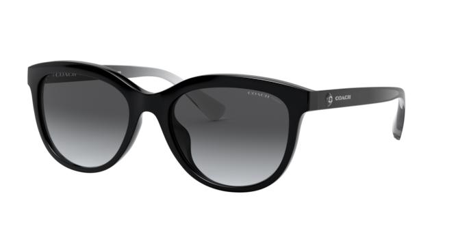 Picture of Coach Sunglasses HC8285U