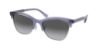 Picture of Coach Sunglasses HC8277
