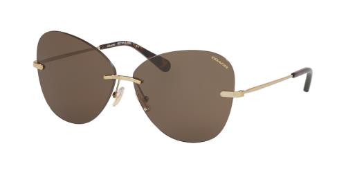 Picture of Coach Sunglasses HC7104