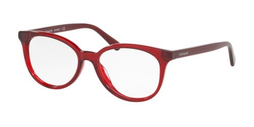 Picture of Coach Eyeglasses HC6138U