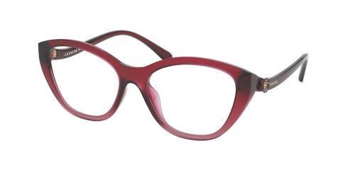 Picture of Coach Eyeglasses HC6134U