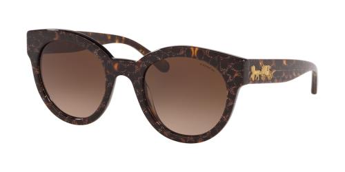 Picture of Coach Sunglasses HC8265F