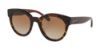 Picture of Coach Sunglasses HC8265