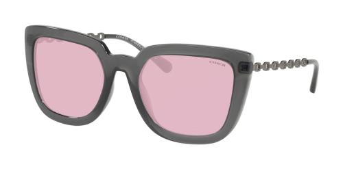 Picture of Coach Sunglasses HC8258U